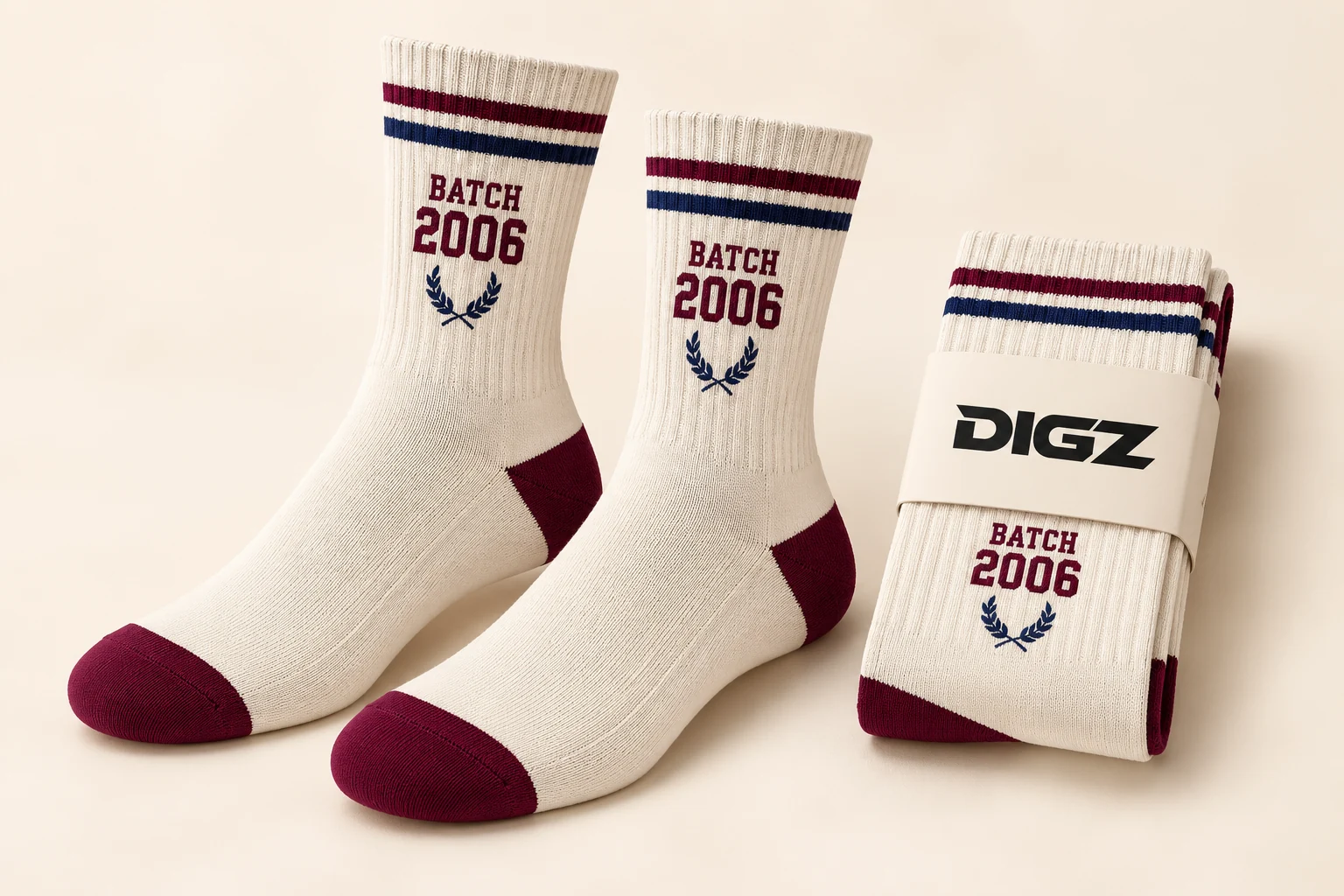 DIGZ Alumni classic stripe sock concept for fictional BATCH 2006