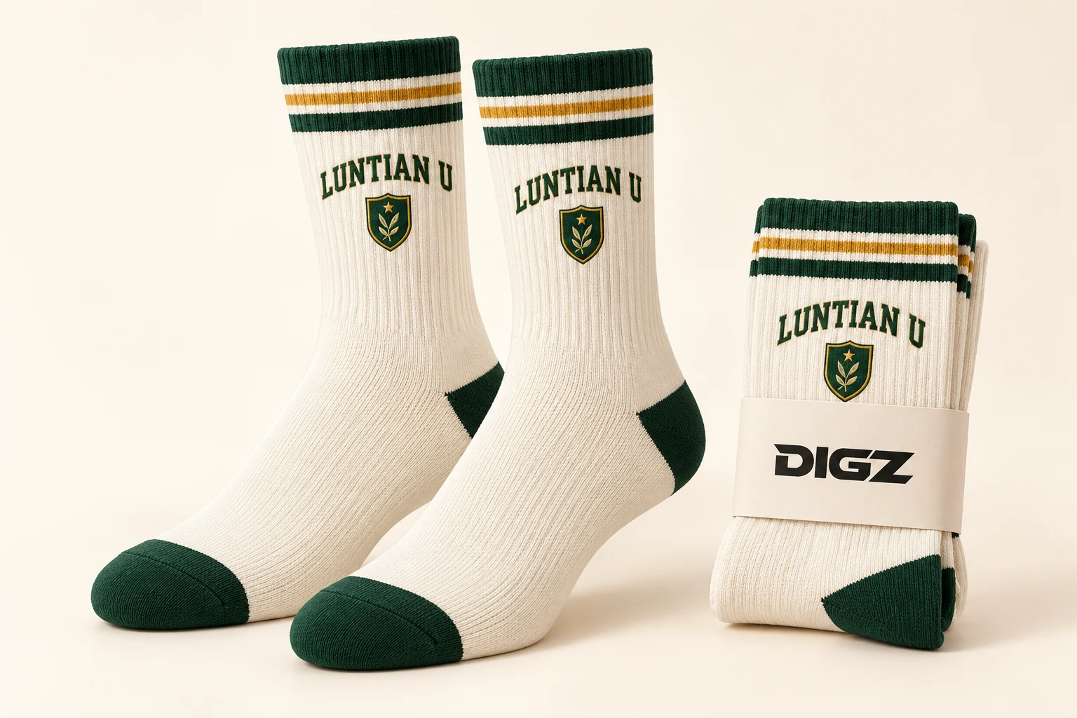 DIGZ Campus classic stripe sock concept for fictional LUNTIAN U